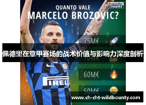 佩德里在意甲赛场的战术价值与影响力深度剖析